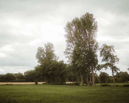 Schulze-get-together-007